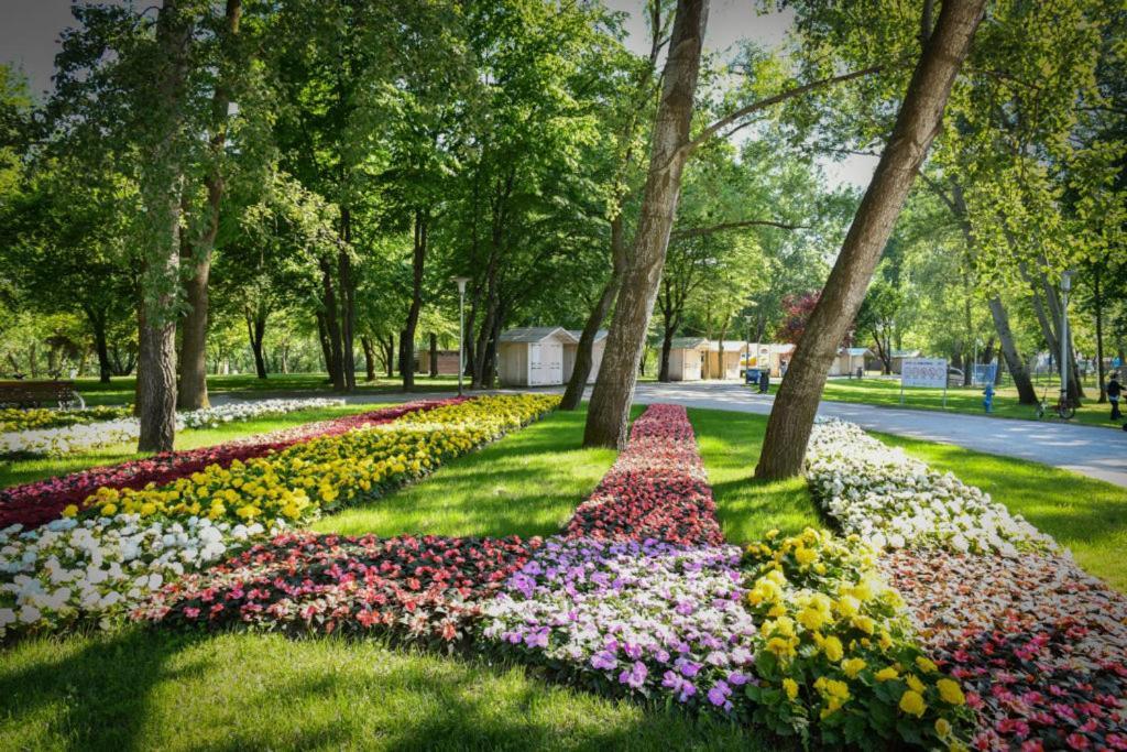 Lola Suite Загреб Экстерьер фото